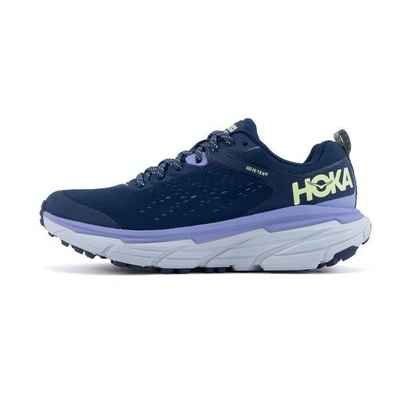 Hoka Challenger ATR 6 GTX [1116878 OSAI] 624 фото