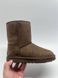 Ugg sn 1016559 Brown W 868 фото 1