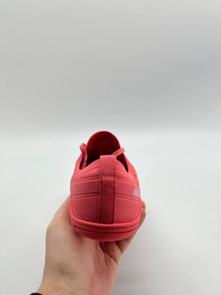 Xero Shoes Nexus Knit Dubarry 341 фото