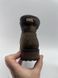 Ugg sn 1013366 Brown W 882 фото 3